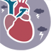 Guía para pacientes con insuficiencia cardiaca